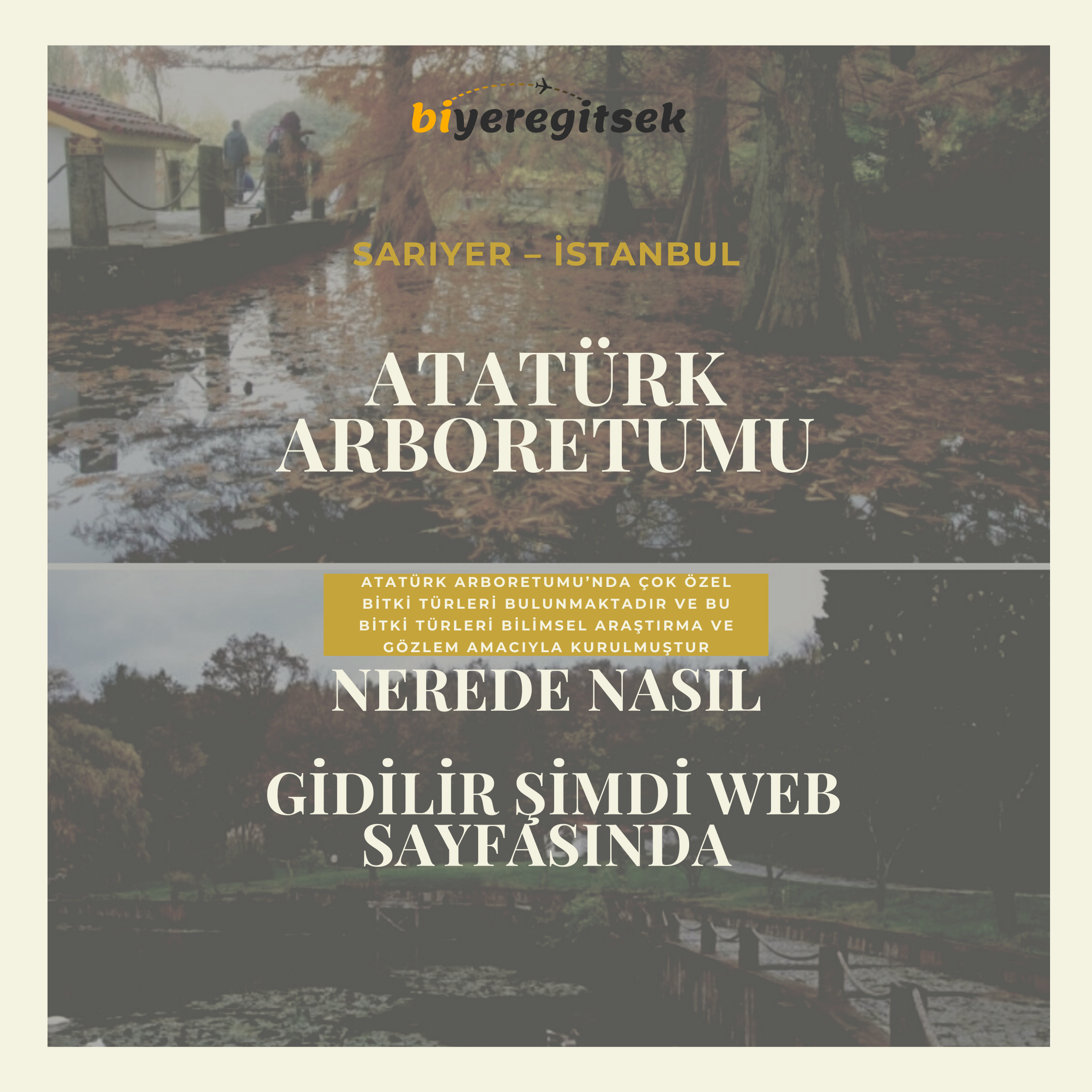 Atatürk Arboretumu Nerede Nasıl Gidilir