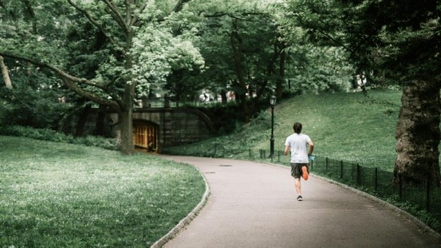 Central Park’a Nasıl Ulaşılır?